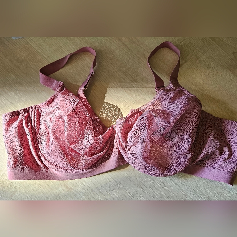 Elegant Lace Dusty Pink Bra